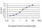 TPR Antibody (monoclonal) (M01)